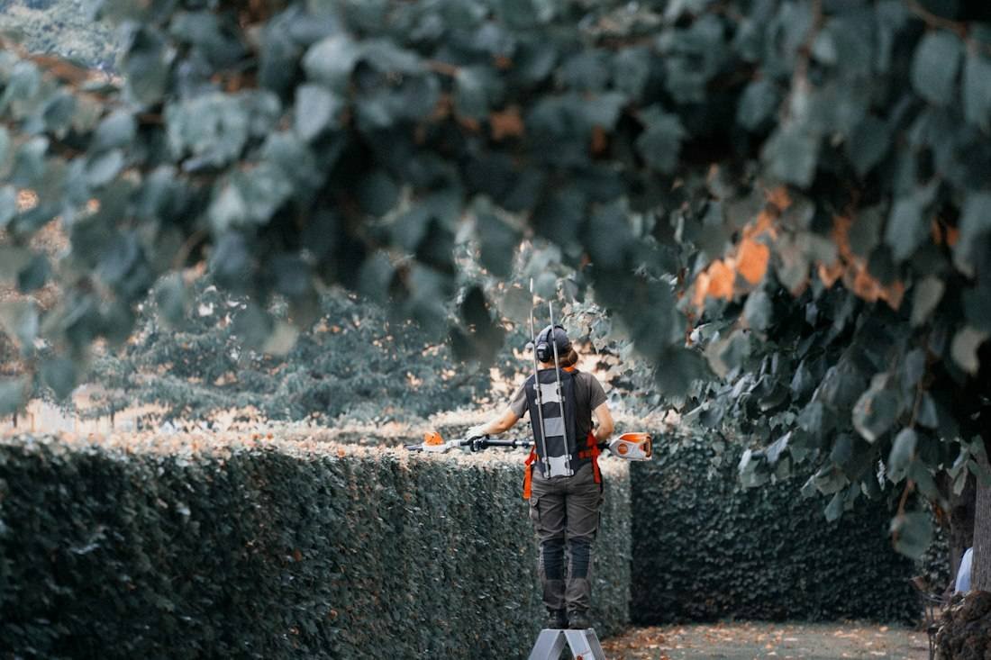 Hausmeister · Garten · Reinigung · Winterdienst